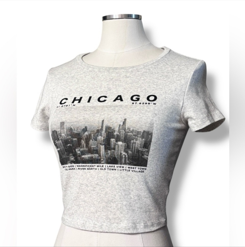 GARAGE Stormi Tee Art Chicago Graphic in Spring Gray